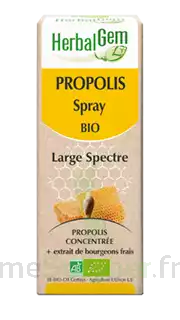 Herbalgem Propolis Large Spectre Solution Buvable Bio Spray/15ml à Bourg-lès-Valence